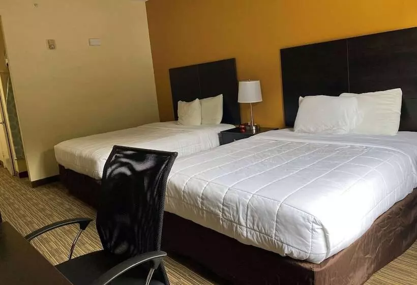 Fotos del hotel Baymont By Wyndham Houston North:  6