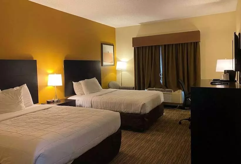 Fotos del hotel Baymont By Wyndham Houston North:  14