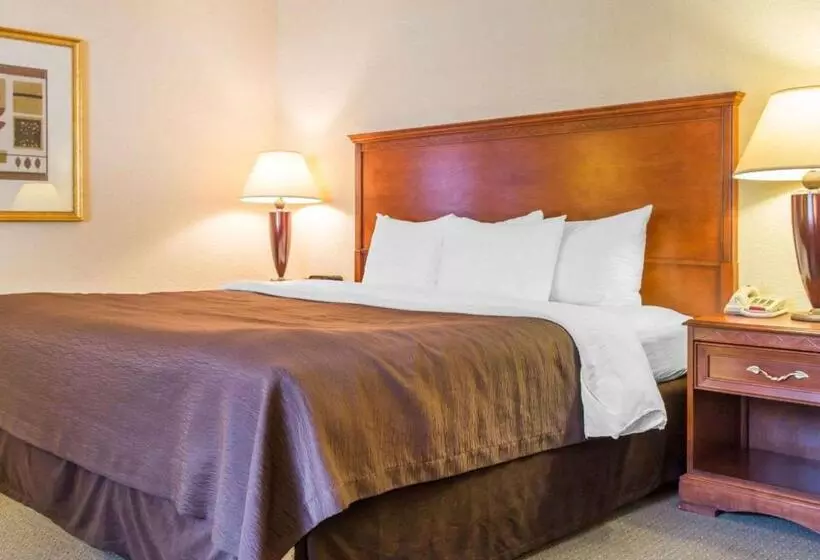 Fotos del hotel Clarion Hotel & Conference Center North Atlanta:  18