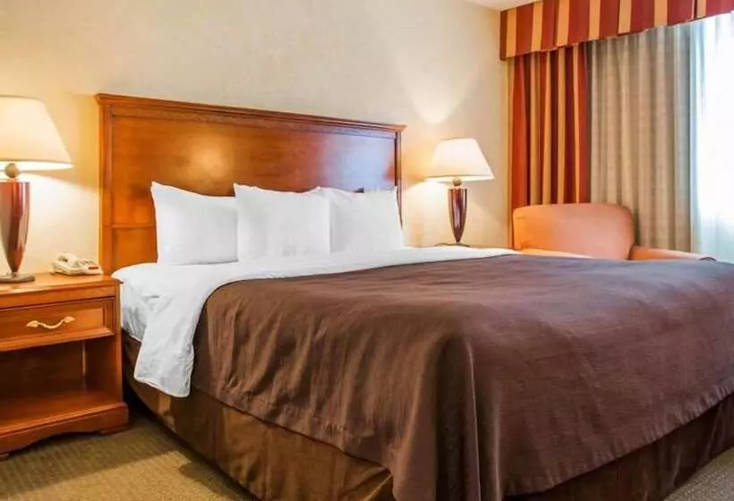 Fotos del hotel Clarion Hotel & Conference Center North Atlanta:  15