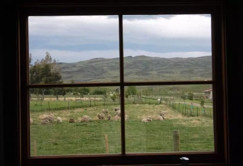 Fotos del hotel Behind The Bike Sheds:  23