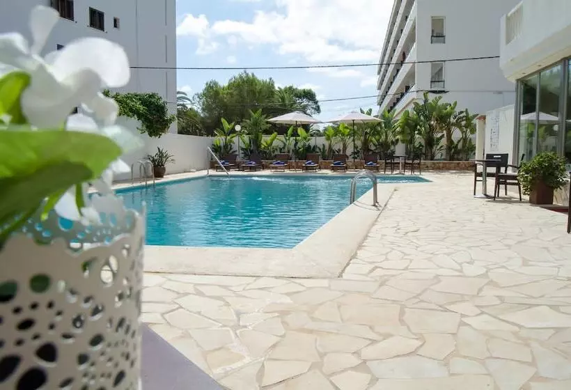 Fotos del hotel Paraiso Beach By Llum - Adults Only:  7