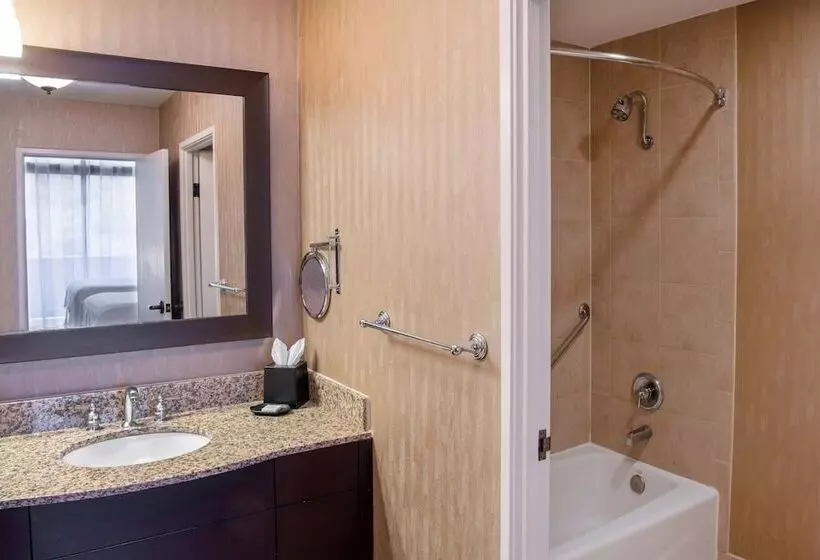 Fotos del hotel Sheraton Mission Valley San Diego:  4