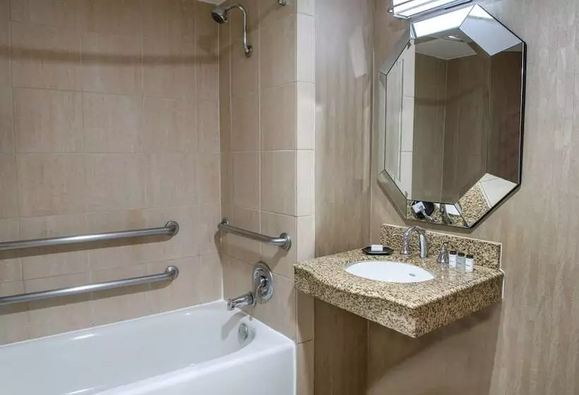 Fotos del hotel Sheraton Mission Valley San Diego:  10