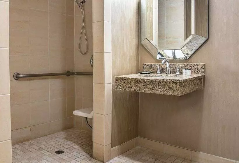 Fotos del hotel Sheraton Mission Valley San Diego:  7