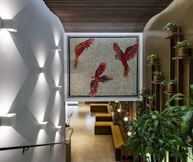 Fotos del hotel Vilar America:  14