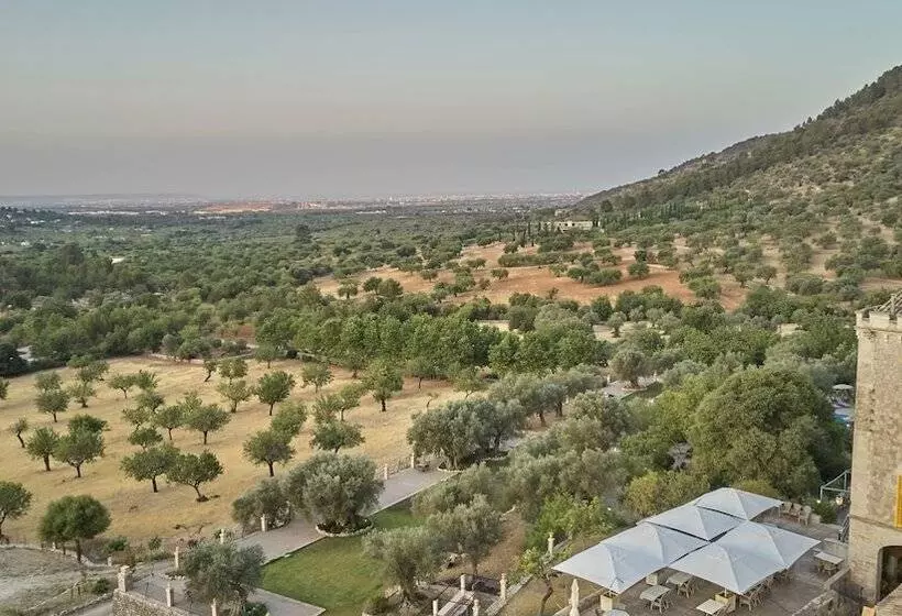 Fotos del hotel Agroturismo Alqueria Blanca:  2