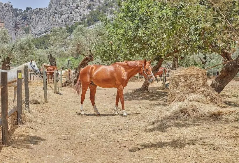 Fotos del hotel Agroturismo Alqueria Blanca:  6
