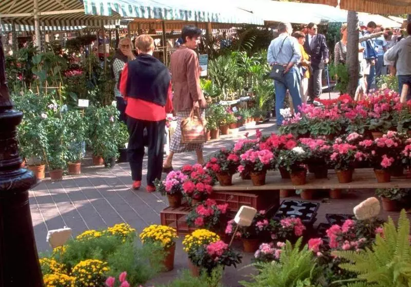 Fotos del hotel Ibis Nice Centre Notre Dame:  13