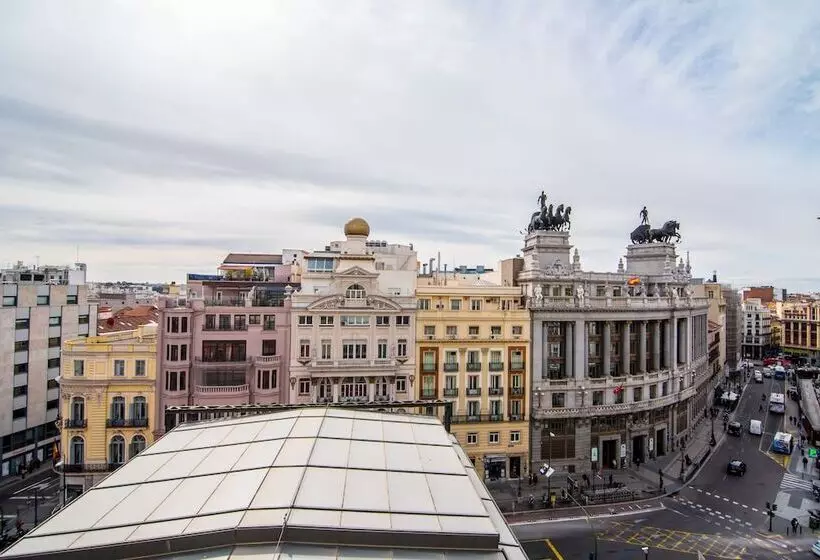 Fotos del hotel Petit Palace Alcalá:  6