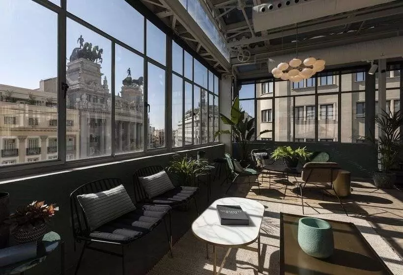 Fotos del hotel Petit Palace Alcalá:  16