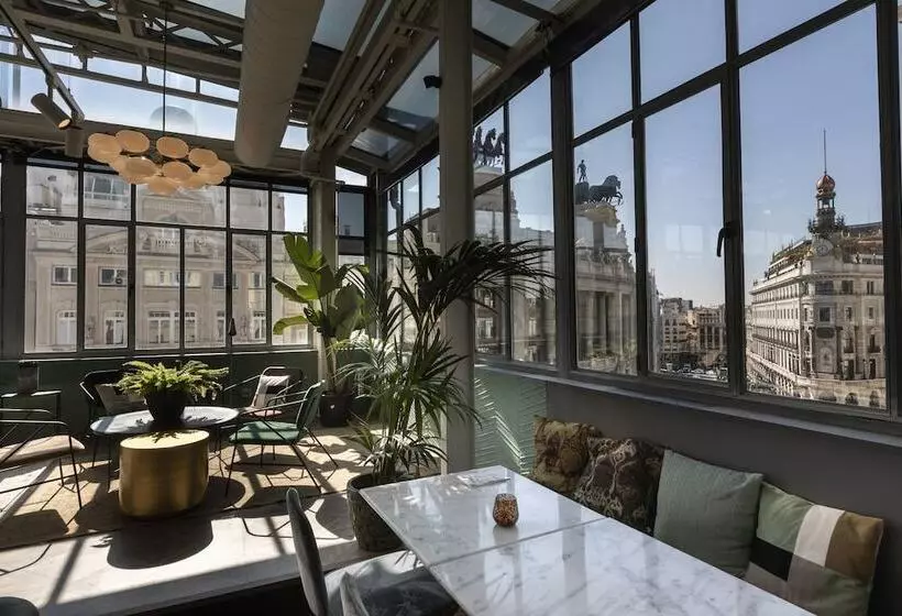 Fotos del hotel Petit Palace Alcalá:  13