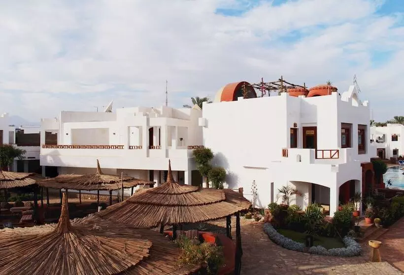 Fotos del hotel Sharm Inn Amarein:  20