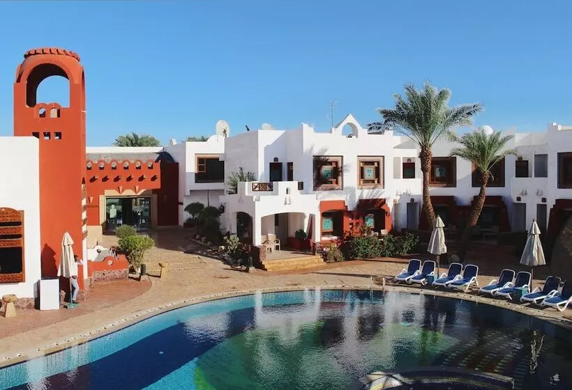 Fotos del hotel Sharm Inn Amarein:  23