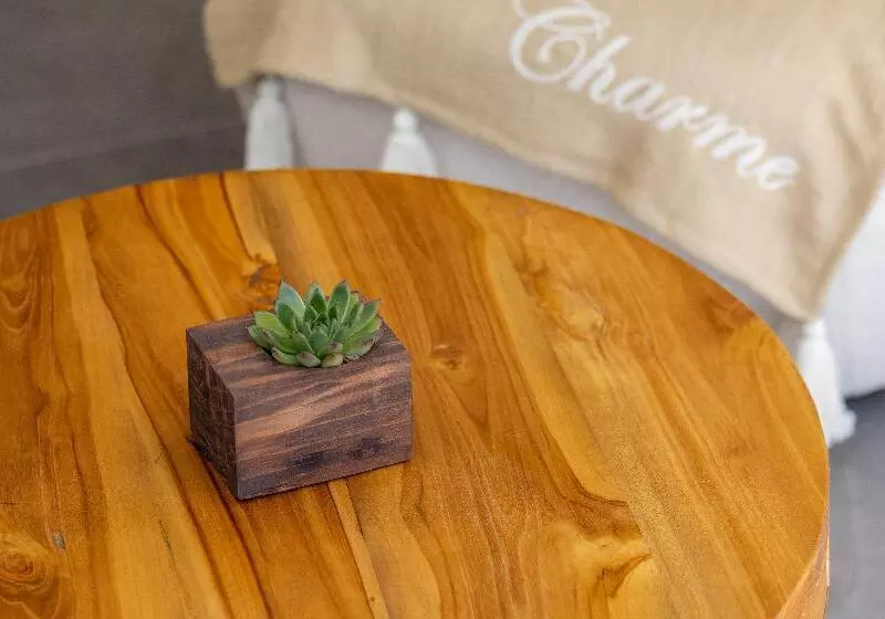 Fotos del hotel Luxotel Cannes:  12