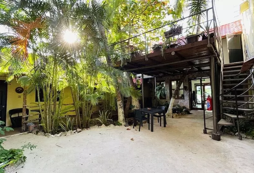 Fotos del hotel B&b By Playa Del Karma:  5