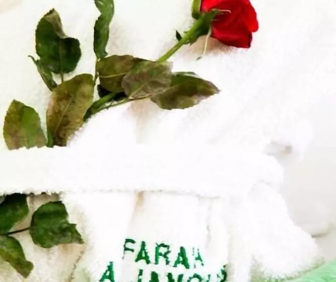 Fotos del hotel Farah Al Janoub:  8