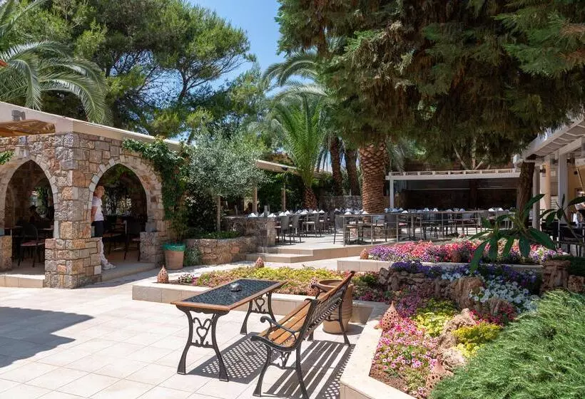 Fotos del hotel High Beach:  7