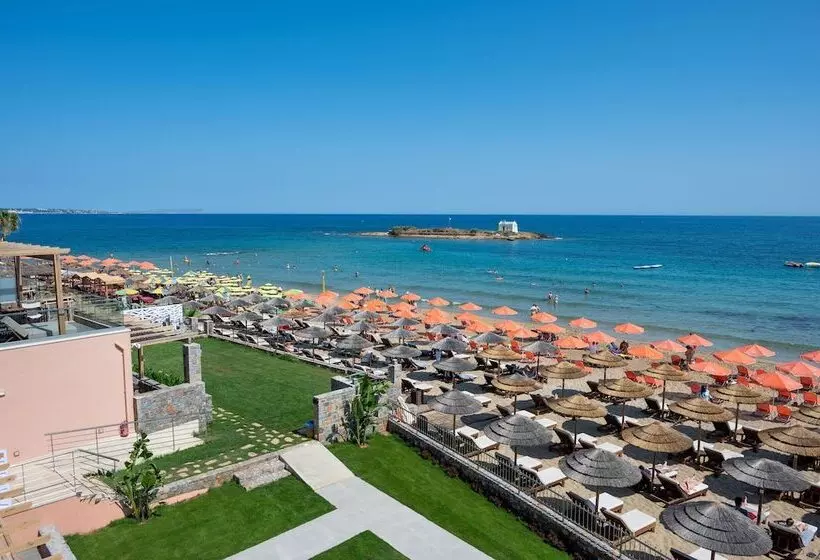 Fotos del hotel High Beach:  8