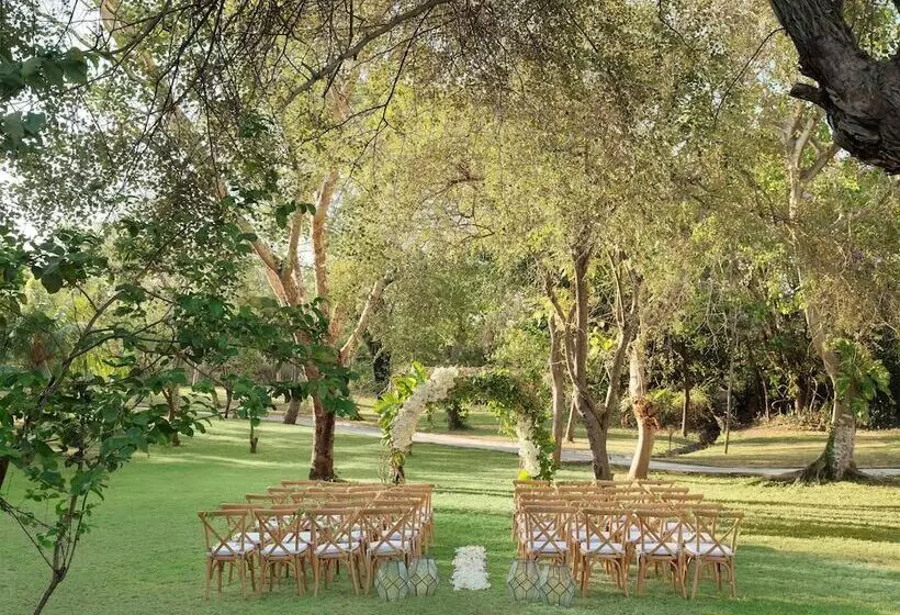 Fotos del hotel Mimpi Resort Menjangan:  25