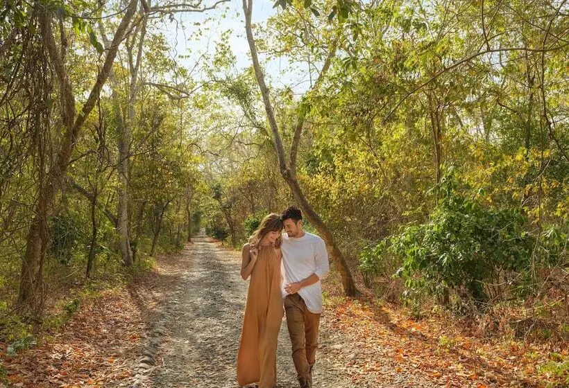 Fotos del hotel Mimpi Resort Menjangan:  11