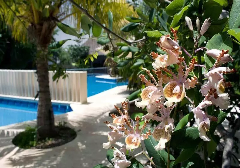 Fotos del hotel Sotavento Hotel & Yacht Club:  22