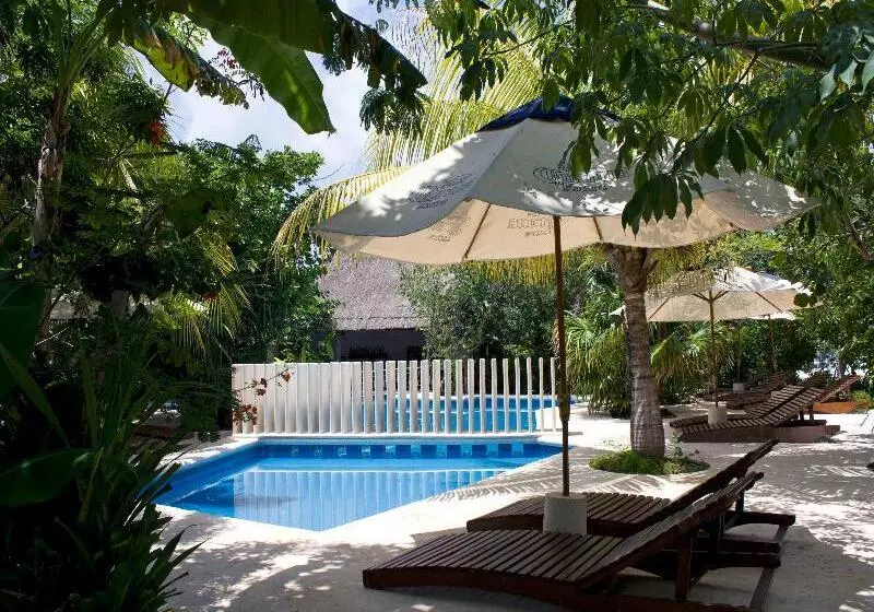 Fotos del hotel Sotavento Hotel & Yacht Club:  13