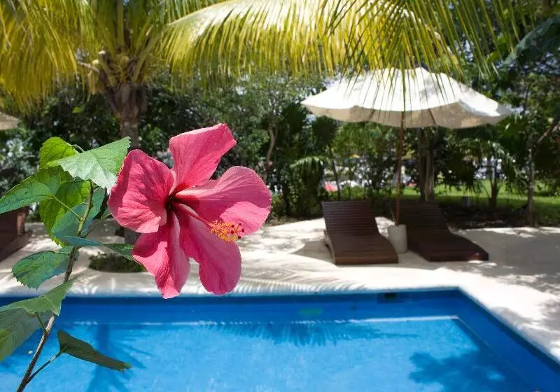 Fotos del hotel Sotavento Hotel & Yacht Club:  20