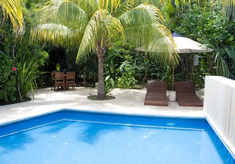 Fotos del hotel Sotavento Hotel & Yacht Club:  18