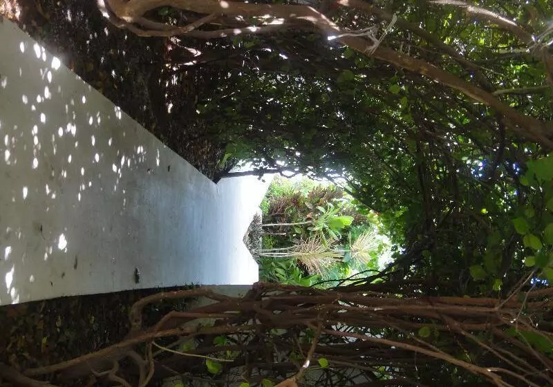 Fotos del hotel Sotavento Hotel & Yacht Club:  23