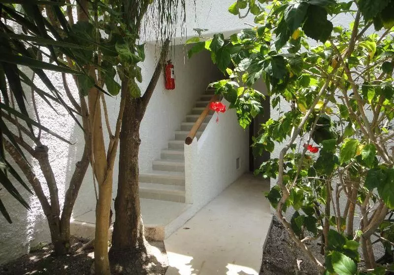 Fotos del hotel Sotavento Hotel & Yacht Club:  17