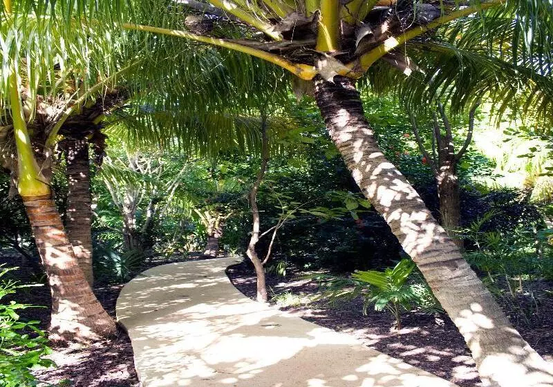 Fotos del hotel Sotavento Hotel & Yacht Club:  15