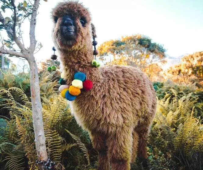 Fotos del hotel Tambo Del Inka, A Luxury Collection Resort & Spa, Valle Sagrado:  10