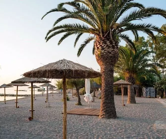 Fotos del hotel Three Stars:  12