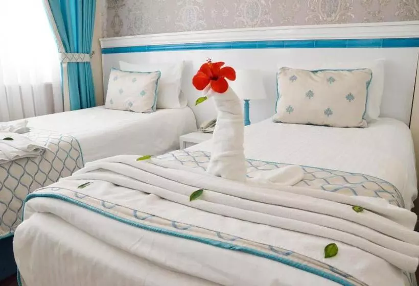 Fotos del hotel Star Holiday Hotel:  22