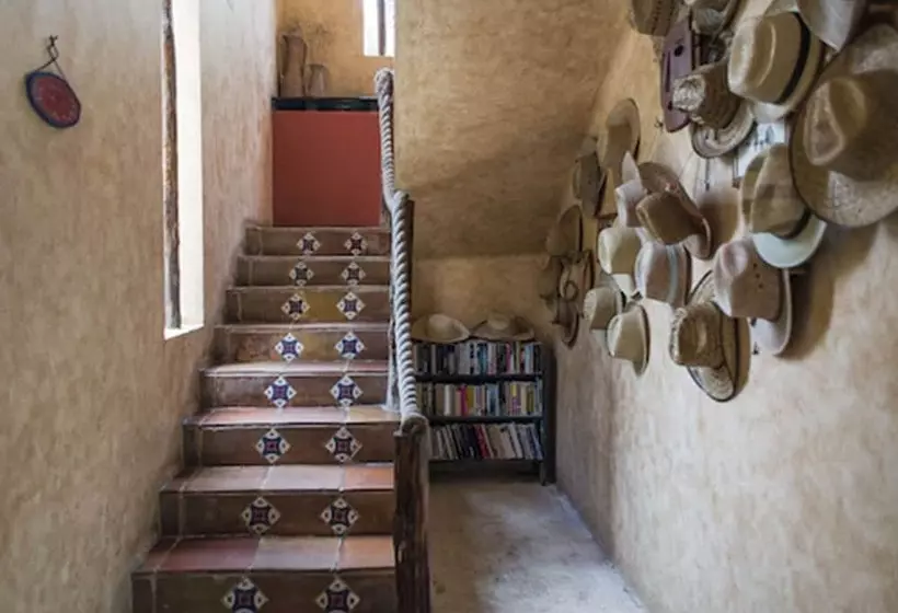 Fotos del hotel Barrio Latino:  22