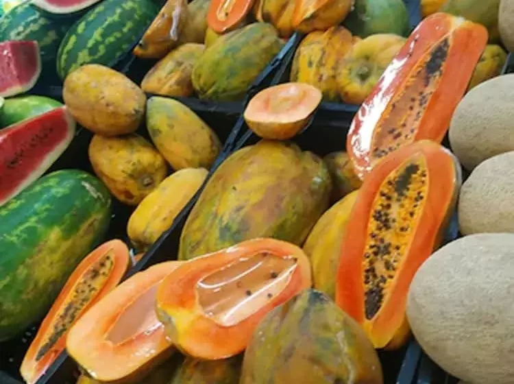 Fotos del hotel Barrio Latino:  21