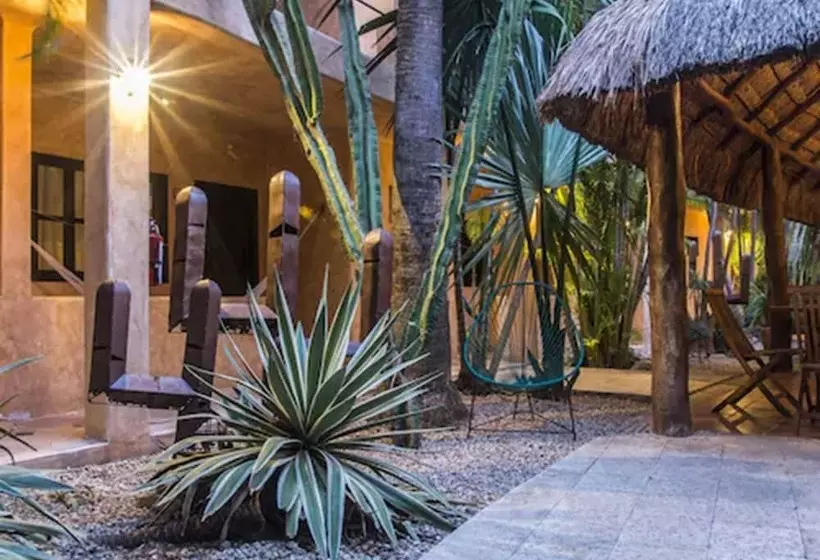 Fotos del hotel Barrio Latino:  19