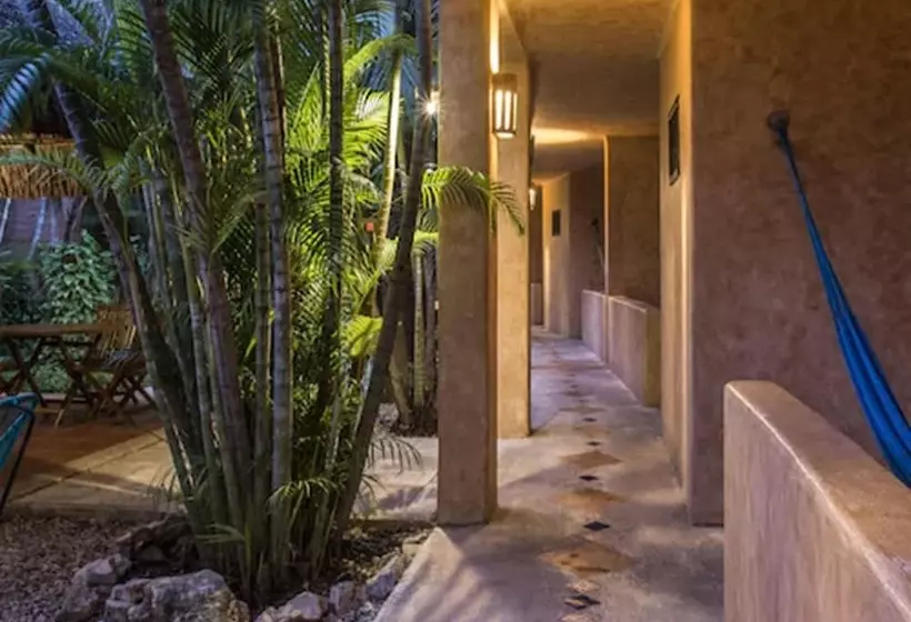 Fotos del hotel Barrio Latino:  16