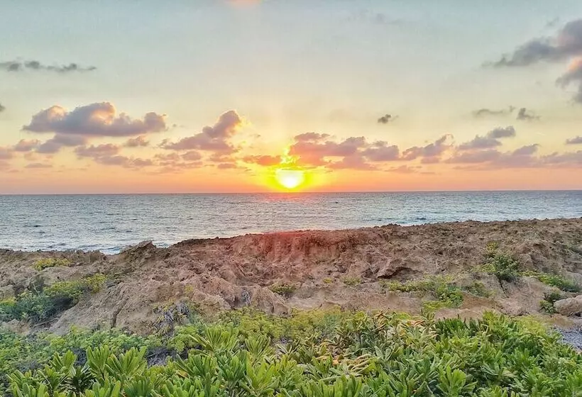 Fotos del hotel Cynthiana Beach Hotel:  20