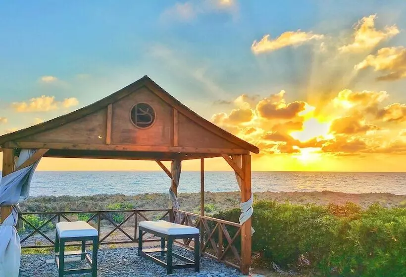 Fotos del hotel Cynthiana Beach Hotel:  17