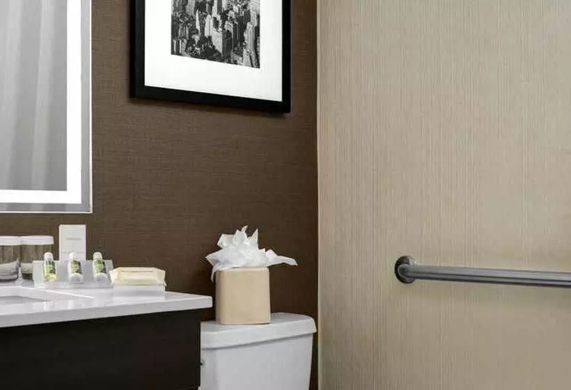 Fotos del hotel Hilton Garden Inn Times Square:  6