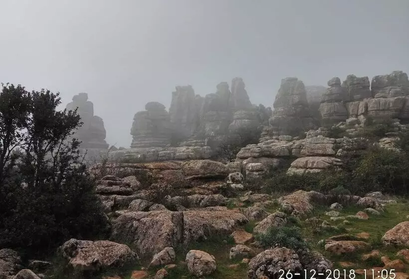 Fotos del hotel Coso Viejo:  11