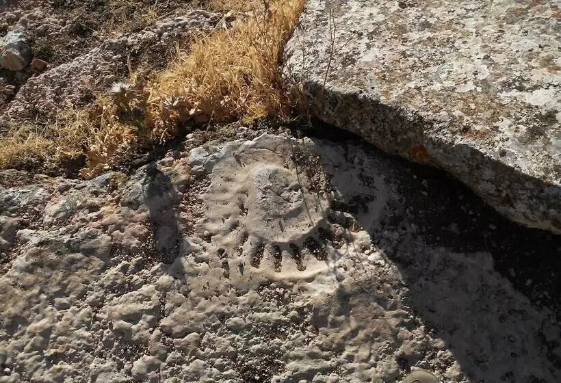 Fotos del hotel Coso Viejo:  5