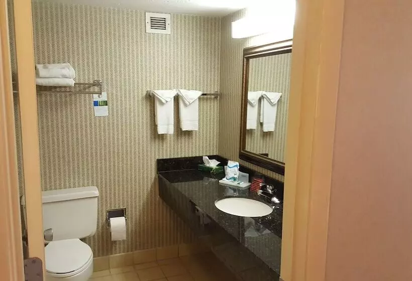 Fotos del hotel Ramada Plaza By Wyndham Atlanta Airport:  10