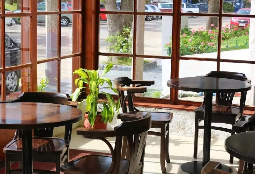 Fotos del hotel San Martín:  16