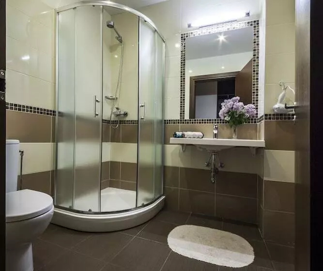 Fotos del hotel Vilnius City:  10