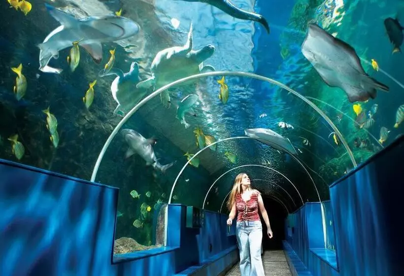 Fotos del hotel Britannia Bournemouth:  3