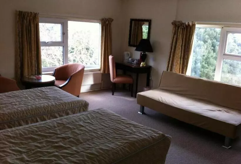 Fotos del hotel Britannia Bournemouth:  14