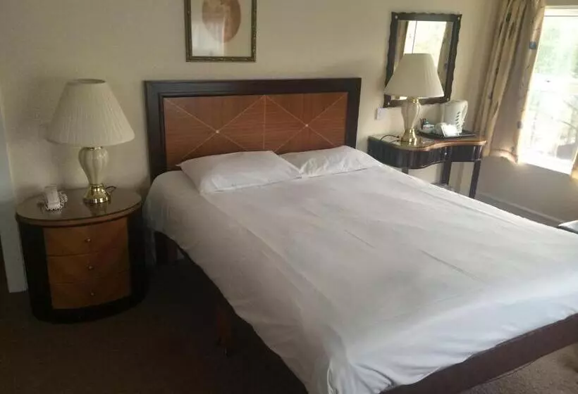 Fotos del hotel Britannia Bournemouth:  24